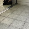 帳尻合わせ？激混み。S1394