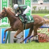 競馬初心者必見☆馬券予想🔥〜ラジオNIKKEI賞〜人気が割れて混戦模様！〜