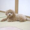 お盆休み終了