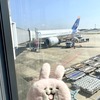 チェンマイから５年ぶりの日本への帰国なのにバンコクで悪天候のため離陸許可が下りないってΣ(￣ロ￣lll)ｶﾞｰﾝ