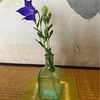 経過観察