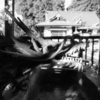 水口の辰【写真】手水舎（てみずや）