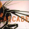 CASCADE「コドモZ」