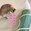 アナタが一番図々しいです