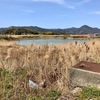金屋小池（仮称）（兵庫県洲本）