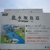 入間川_豊水堰魚道（埼玉県狭山市）