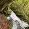 奥入瀬渓谷の紅葉と十和田湖グリランドツアー