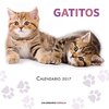 AA. VV. Calendario Gatitos 2017 Mobi descargar