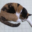 FP主婦の節約＆投資ガイド