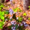 ３月２４日