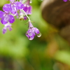 雨…続く