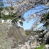 <span itemprop="headline">名古屋城の桜と大名料理</span>