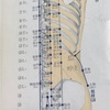 経絡を繋げるseriesその1『膀胱経を意識する』虚を探して身体を整えましょう。クライマー・武術家・一般の方々にもオススメです！！