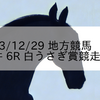 2023/12/29 地方競馬 大井競馬 6R 白うさぎ賞競走(B1)

