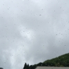 今日は雨上がり