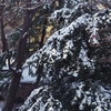 初雪 / イワン・ブーニン