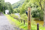 【白神山地#2日目】世界遺産のブナ林をハイキング