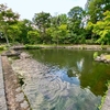 鶴沼公園 日本庭園の池（北海道浦臼）