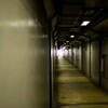 忘れ去られた恐怖の病「狂犬病」　150か国以上に現存、発症したらほぼ助からない