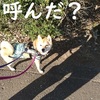 日を追うごとに、だよ