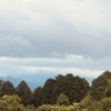 今朝の景色