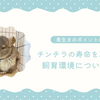 チンチラの寿命を左右する環境とは？完璧な飼育環境を整えよう