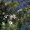 目に見えないウィルスも怖いけれど、場合によったらやっぱり生きた人間も同じくらい怖い。