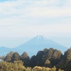 今朝の景色