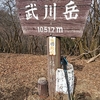 山歩き　NO.７０　武川岳　二子山