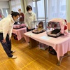 本日の譲渡会に犬山市長さん訪問してくださいました！！