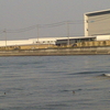 柞田川河口