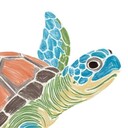 ガメコの推し活ナビ