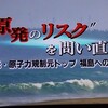 ＜NRC元委員長ヤツコ氏、福島を訪ねる＞（ETV特集より）