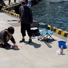 ブログはちょっと充電中。色々な事をダイジェストで。