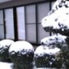 二日続きの雪景色