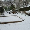 うるう年の雪＆文久元年創業のお寿司