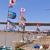 新川漁港大漁祭2024に行ってきました！晴天の大漁祭でした！
