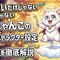 かわいいだけじゃない 神にゃんこの爆笑キャラクター設定と魅力を徹底解説
