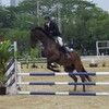 Horse Guard Cup 2011 in Thailand