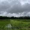 2025/06/11 水曜日　台風1号発生