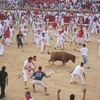 パンプローナの牛追い祭り　ー北スペイン巡礼ドーロ　ー③