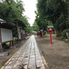 神社で森林浴