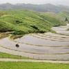 産山村 扇棚田で田植え