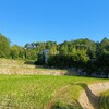 泉原上〜忍頂寺〜竜王山〜竜仙ノ滝〜萩谷総合公園〜摂津峡