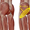 ❮お尻トレーニング❯