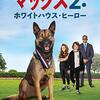 【映画】マックス２：ホワイトハウス・ヒーロー～感想・軍用犬マックスがすご過ぎる！！