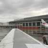 91st leg: 那覇-石垣 JTA607