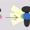 健全な心を取り戻すと、体も自然についてくる