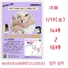 保護猫と触れ合える☆1/19(日)ねこのおうちさがし＠忠岡のご案内
