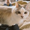 酷いこと言われても、気にしてる暇なし。